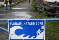New Magnitude 6 quake off B.C. coast triggers no alarm – – BC