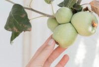 New A Protestant’s Take on Adam and Eve New A Protestant’s Take on Adam and Eve