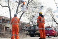 New Power’s back however concerns stay. What can we gain from the Quebec ice storm for next time?
