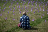 New On the 7th anniversary of B.C.’s poisonous drugs emergency situation, supporters state more requirements to be done
