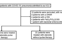 New Steroid Pulse Therapy as a Treatment for Patients With COVID-19 Pneumonia at an Intensive Care Unit: A Single-Center Retrospective Observational Study