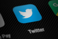 New Elon Musk presents saucy auto action system for Twitter press questions