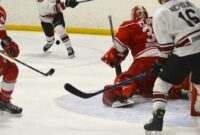 New ‘It’ll be rocking down there tomorrow night’: The Southern Shore is prepared to invite their hockey group back house for the Herder