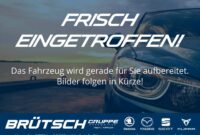 New Skoda E-SUV “Small” (2025 ): This is what an entry-level SUV might appear like