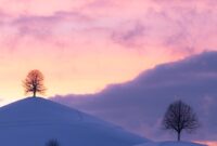 New Lamborghini driver charged after presumably slaughtering a bicyclist on Chapel St in Prahran, Melbourne