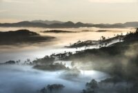 New Whelen Cadillac Conquers Sebring – – SPEED SPORT