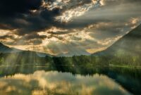 New Driver detained and cars and truck took following stop on M6 – – Lancashire Telegraph