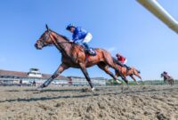 New Lingfield Derby Trial (L): Epsom Military Order