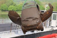 New The fire brigade discovers cars from the Essen Baldeneysee – – a trick about the origin