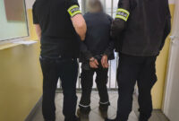 New They took a vehicle and were apprehended – – News